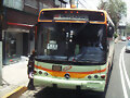 Marcopolo Torino RTP