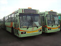 Masa U-18 RTP
