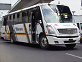 Autobuses Aurora