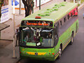 Marcopolo Torino Servicio Expreso