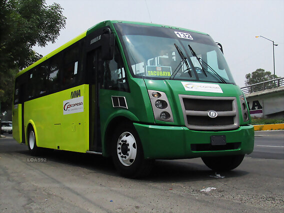 Dina Runner COPESA