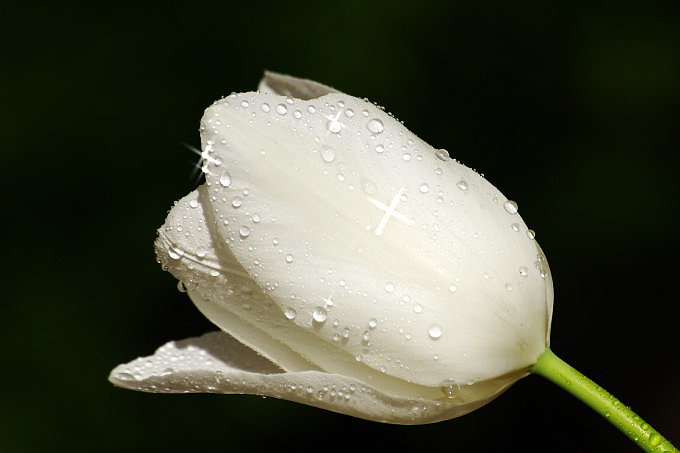 ST