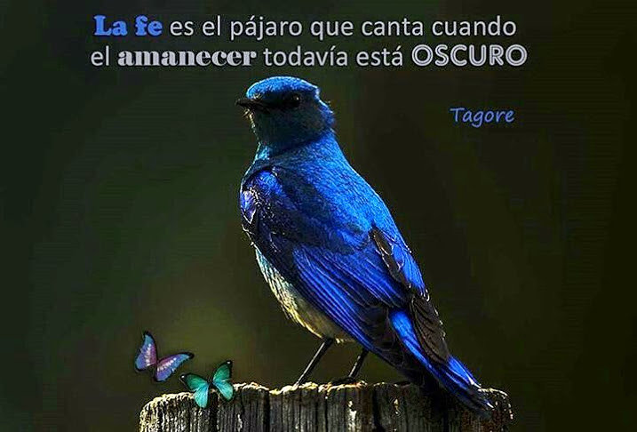tagore