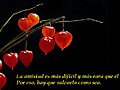 amistad