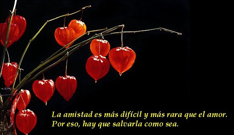 amistad