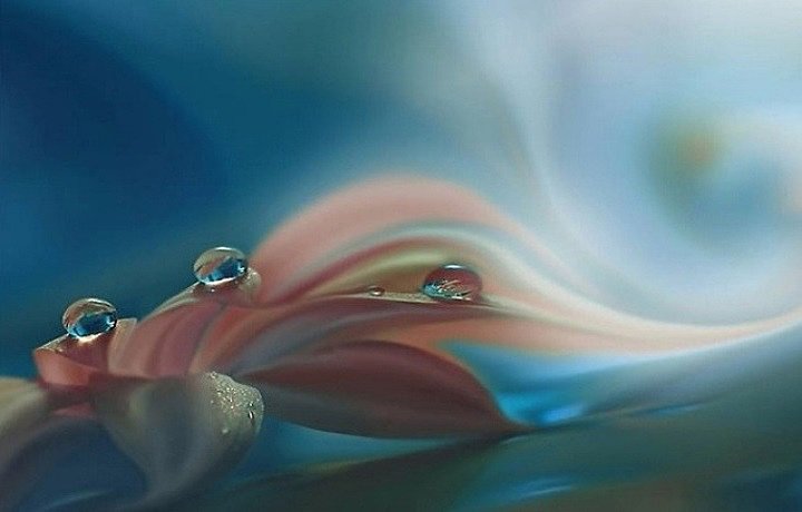 LA GOTA DE ROCÍO