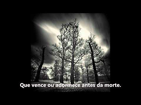 No Teu Poema