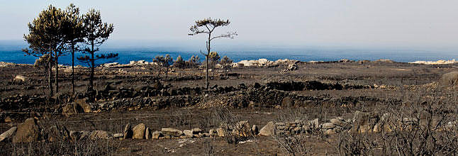 ¡ NO A LOS INCENDIOS EN GALICIA !