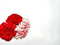 ST