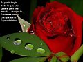 gotas de lluvia