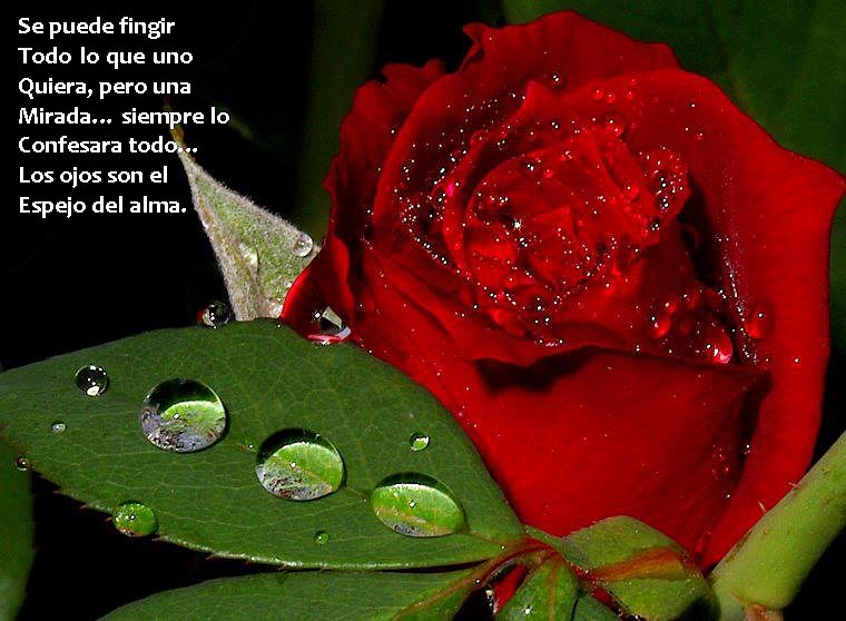 gotas de lluvia
