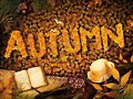 llego el oto&ntilde;o