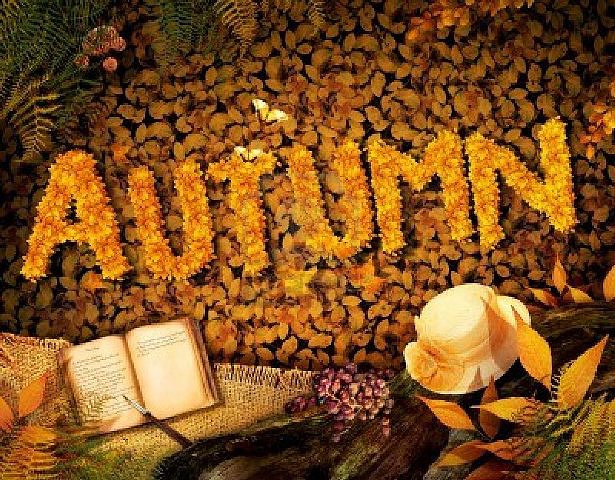 llego el otoño