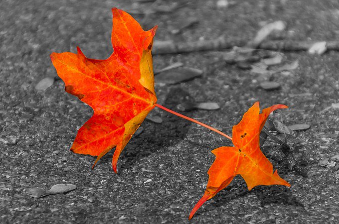 Noviembre