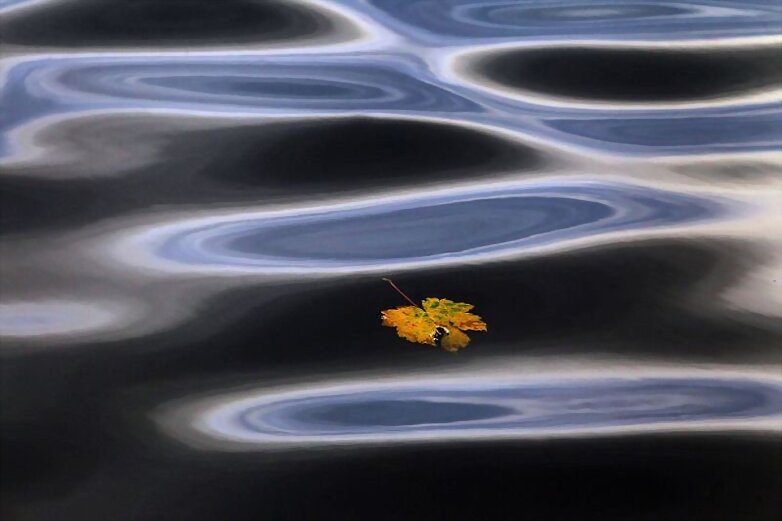 hoja flotante