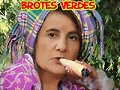 brotes verdes
