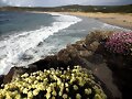 Es la sombra del agua