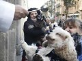 Una mascota recibe la bendici&oacute;n por San Ant&oacute;n
