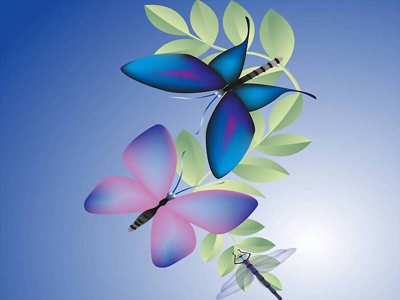 mariposa
