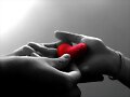Amor valiente