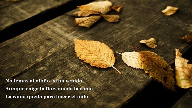 otoño