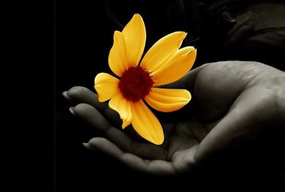 TENGO UNA PEQUEÑA FLOR
