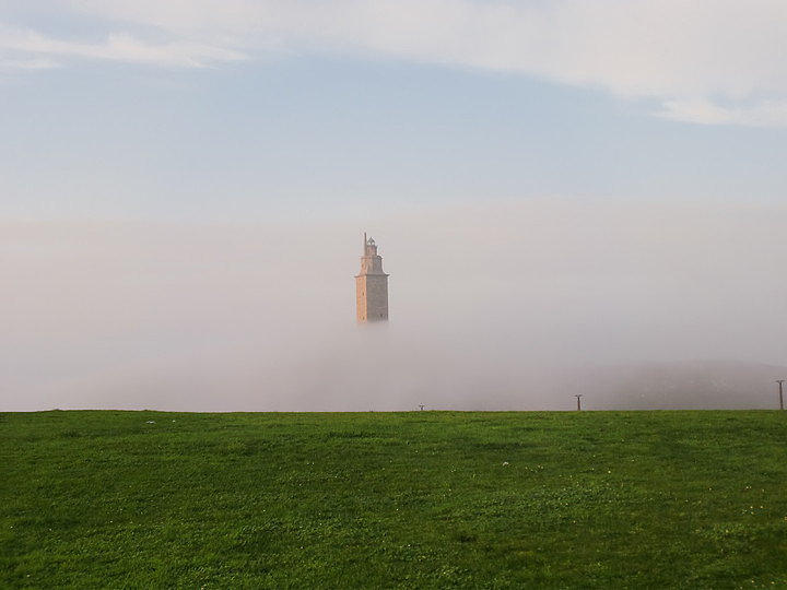 HOMBRE QUE MIRA A TRAVÉS DE LA NIEBLA