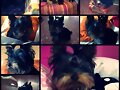 Mi perritoo (L)&hearts;