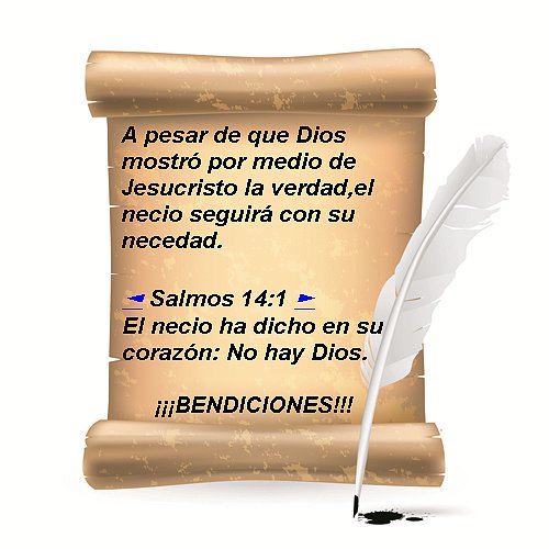 La necedad del hombre