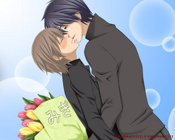 Hiroki y Nowaki(Junjou Egoista)(Junjou Romantica)