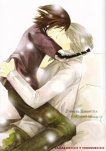 Misaki y Akihiko (Junjou Romantica)