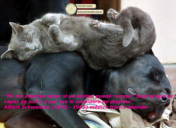 Para Reflexionar