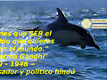Frase Mahatma Gandhi