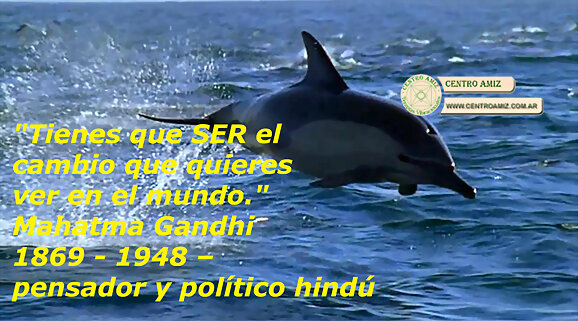 Frase Mahatma Gandhi