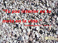 Frase de Arist&oacute;teles