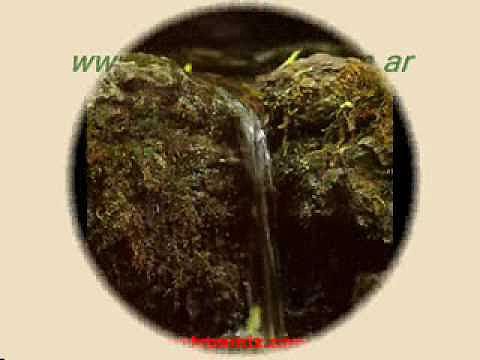 Agua de Roca - Rock Water