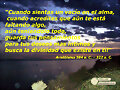 Frase de Aristoteles 384 a. C. &#150; 322 a. C