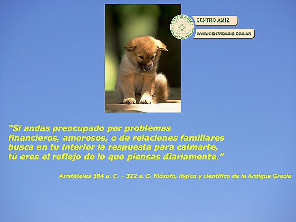 Frase de Aristoteles 384 a. C. – 322 a. C