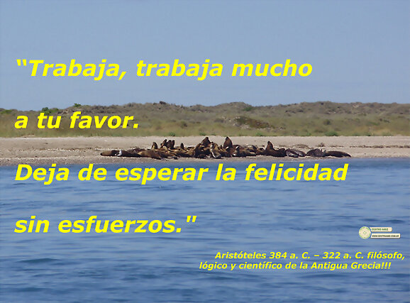 Frase de Aristoteles 384 a.C. – 322 a.C