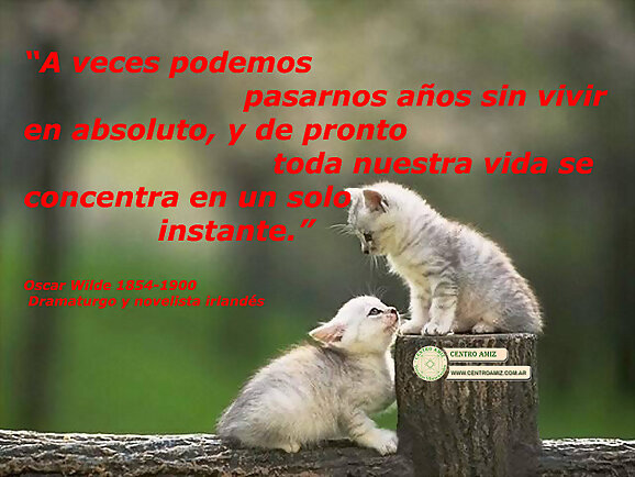 Frase de Oscar Wilde - 1854-1900