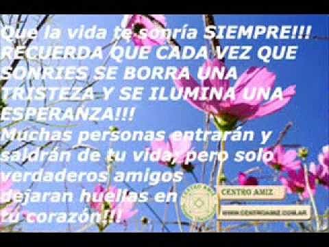 Reflexiones sobre la Amistad - Feliz Dia del Amigo