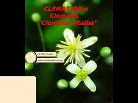 Rescue Remedy - Flores de Bach