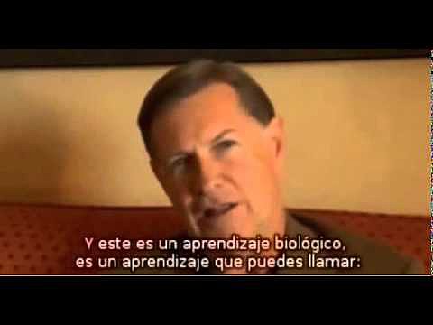 Que es PSYCH-K&reg; - Rob Williams