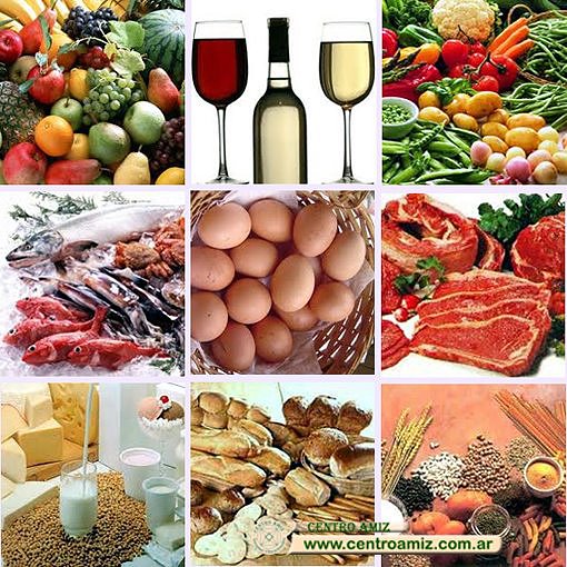 Taller sobre Alimentacion