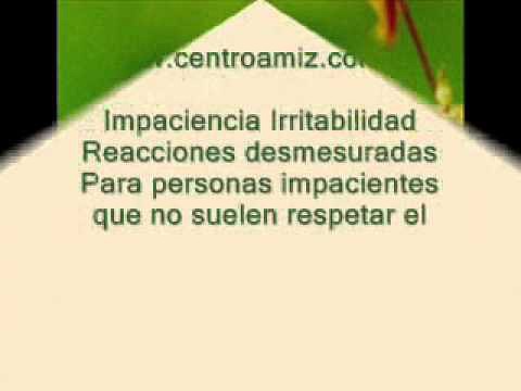 Impaciencia o Impatiens