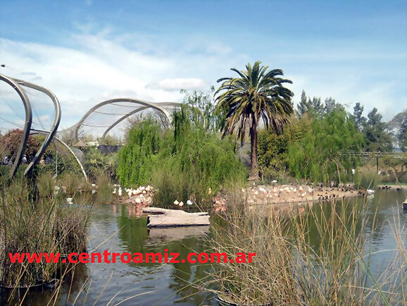 Laguna de patos - Frase Dr. Bach