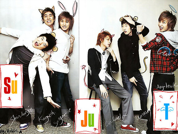 SUPER JUNIOR T