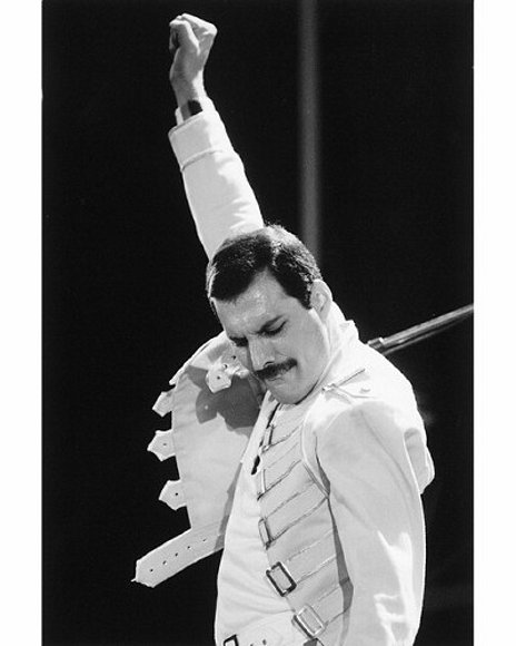 Freddie