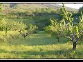 campo extreme&ntilde;o