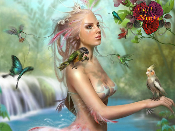 NINFA